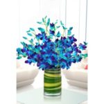 Romantic Blue