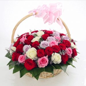 Valentine's Day Special Gift