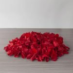 Red Roses Petals -1/2 Kg